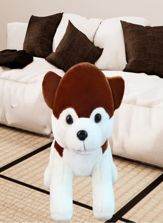 RVA Soft Toys for Girl Pomeranian Dog White Cute Lovely Cartoon Character Lovable Huggable Stuffed Plush Toy for Best Gift for Infants, Toddlers & Babies (Size 50 cm) - Image 1